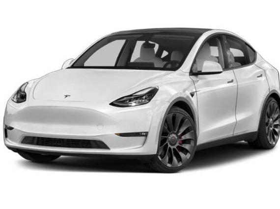 TESLA MODEL Y 2023 7SAYGDEF6PF976768 image
